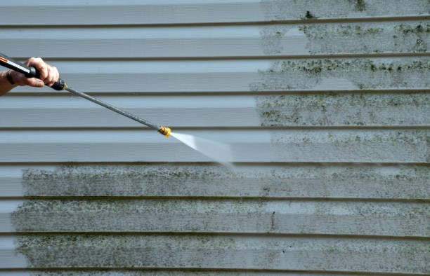 Best Commercial Mold Removal  in Lake Hamilton, FL