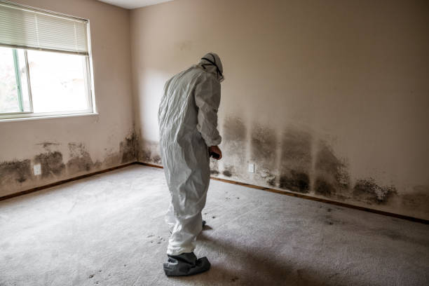 Best Crawl Space Mold Removal  in Lake Hamilton, FL